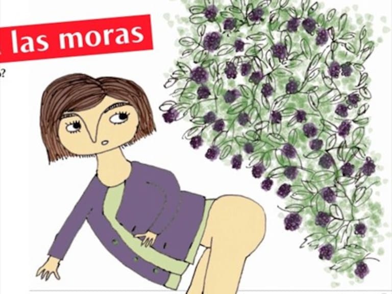 Indignación por sexista afiche de Fundación Futuro