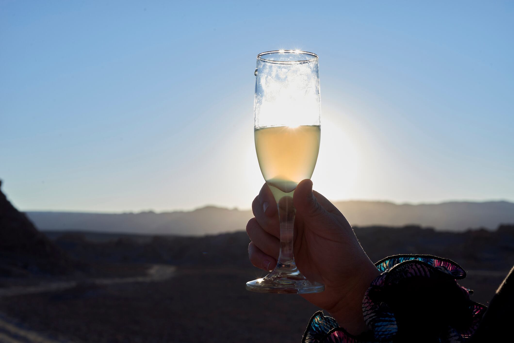 Pisco Sour | Foto referencial