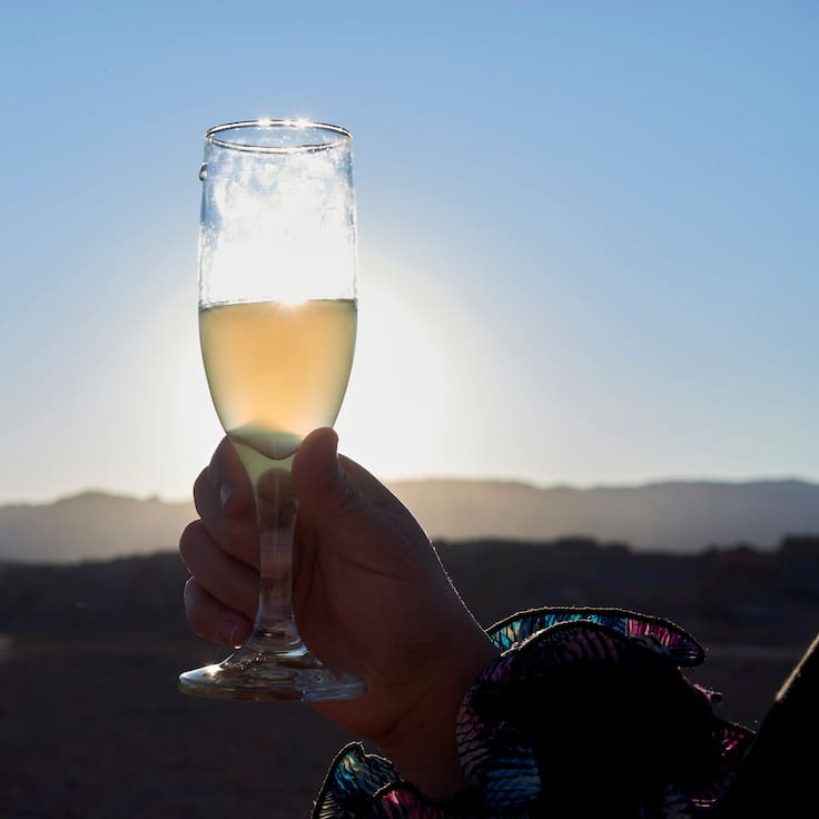 Innovación chilena: Crean el primer Pisco Sour sin alcohol y con espuma 100% vegana