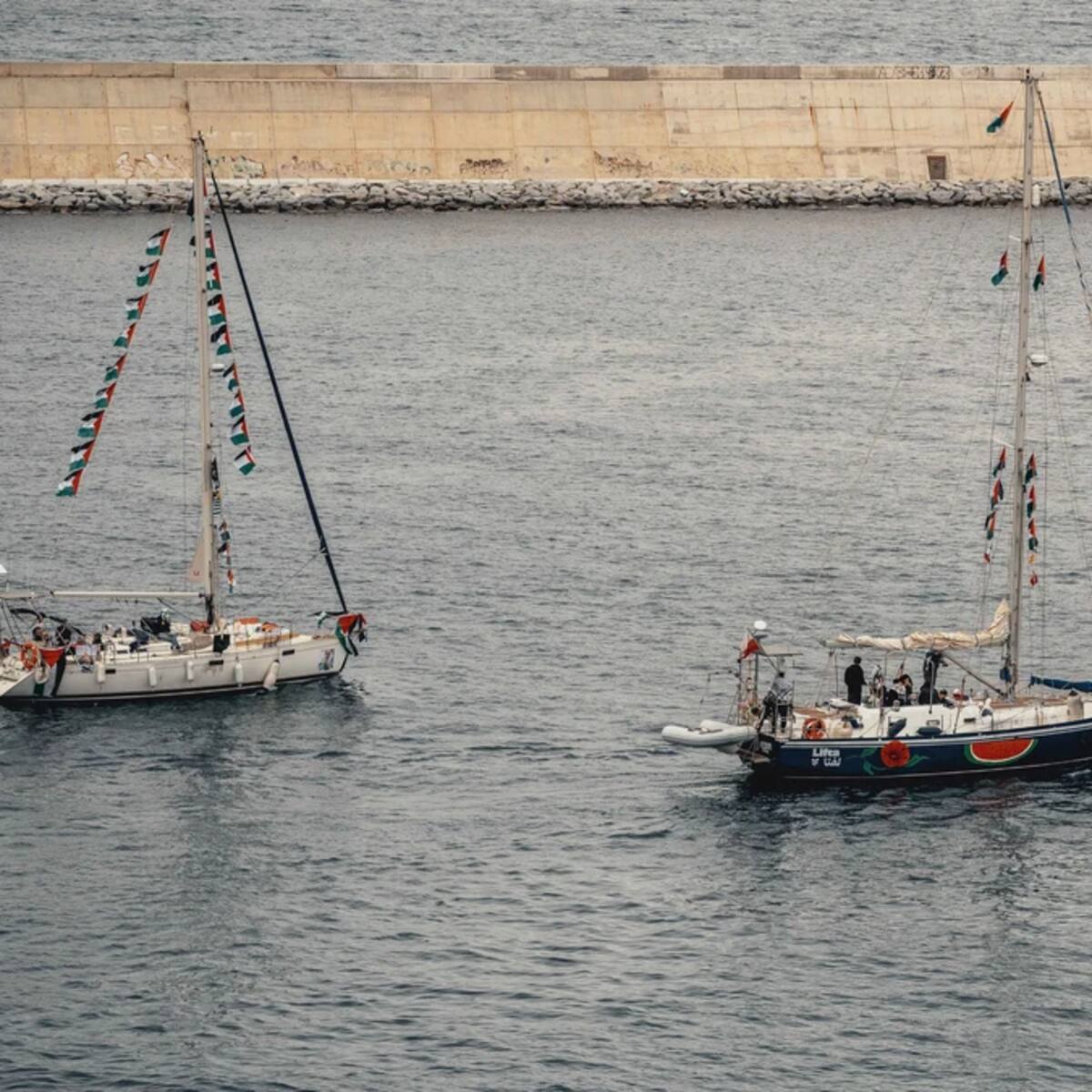 Interceptan flotilla humanitaria rumbo a Gaza: embarcación con chilena Carolina Eltit fue retenida por Israel