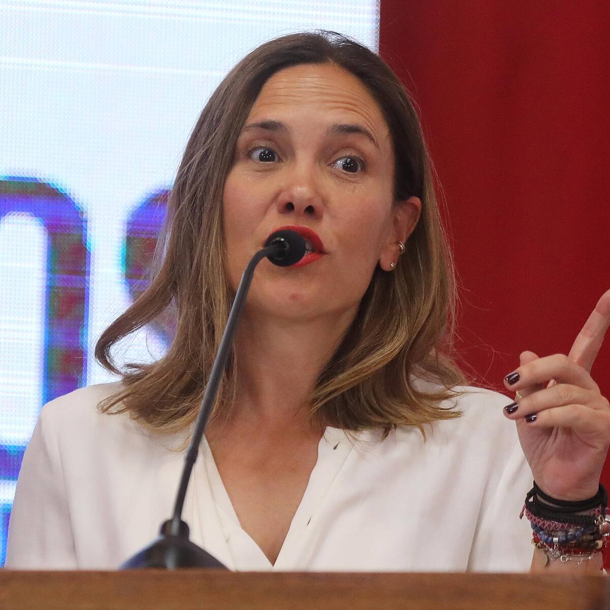 Magdalena Piñera cuestiona el tono del Congreso: “No quiero que esté lleno de Manouchehris”