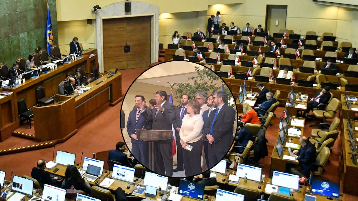 Buscan blindar tres derechos sociales clave: bancada PPD presenta reforma para impedir “retrocesos” ante megarreforma