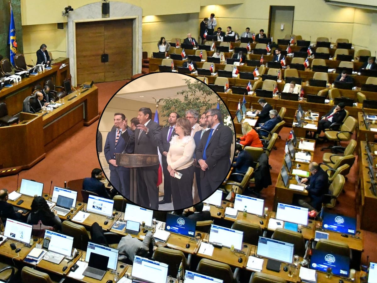 Buscan blindar tres derechos sociales clave: bancada PPD presenta reforma para impedir “retrocesos” ante megarreforma