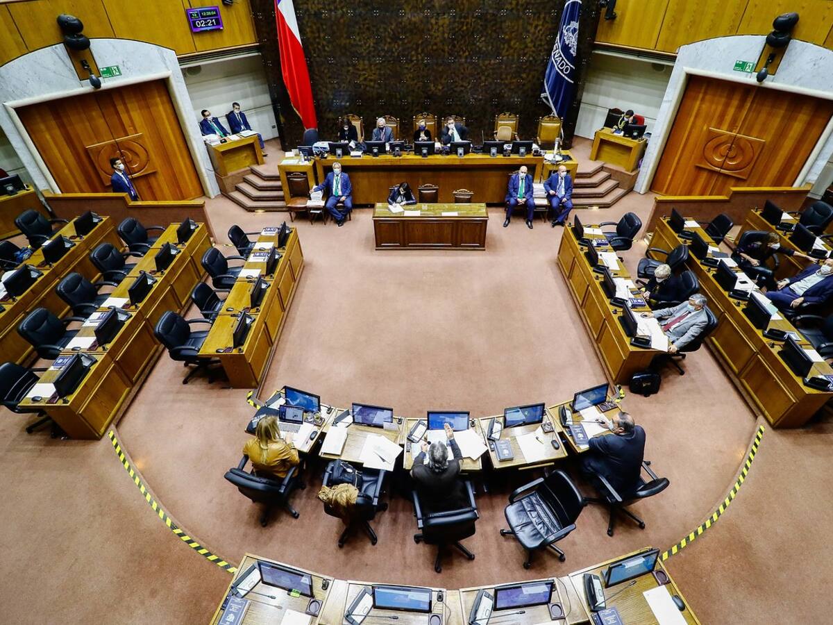 Será ley: Senado aprobó veto presidencial por Ingreso Familiar de Emergencia