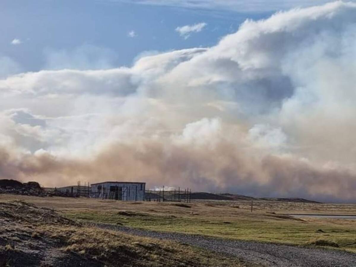 Tierra del Fuego: bomberos y brigadistas de Conaf llegan a combatir las llamas