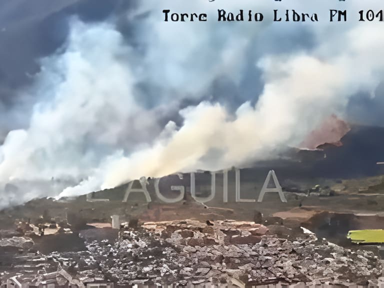 Incendio forestal en La Calera