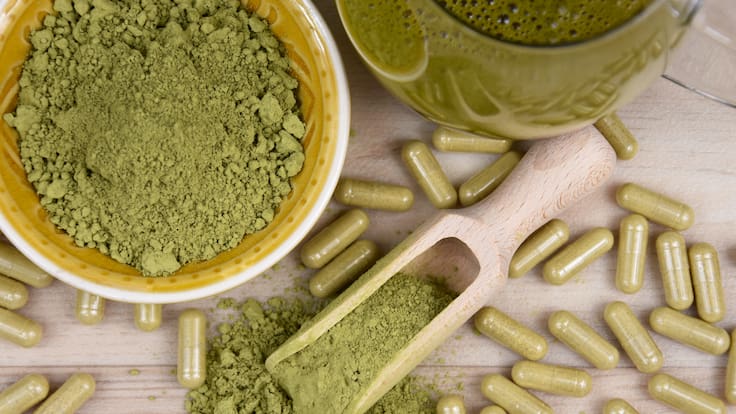 Kratom: en qué consiste la nueva droga que llegó a Chile, qué efectos tiene y cuáles son los riesgos de consumirla