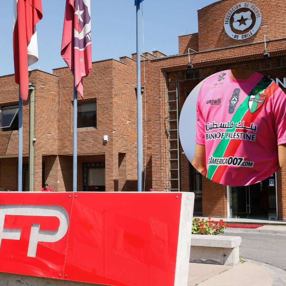 “No representa el sentir de todos los clubes”: Palestino cuestiona el rol de la ANFP en la discusión de la ley de S.A Deportivas