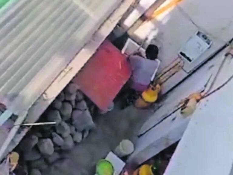 Cursan sumario sanitario contra restaurante en Calama por denuncia de faenamiento de perros