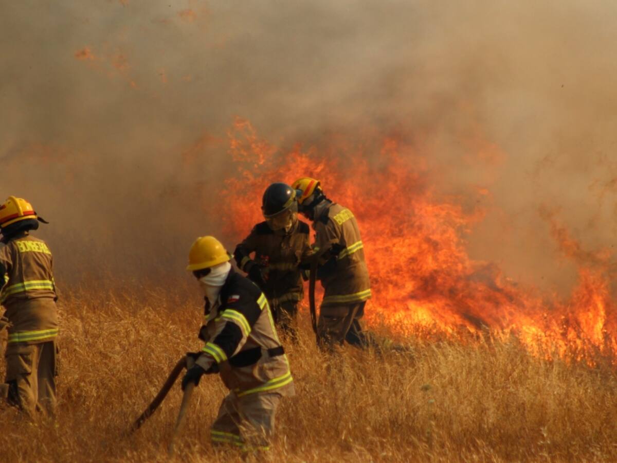 Declaran Alerta Roja para la comuna de Nacimiento por incendio forestal