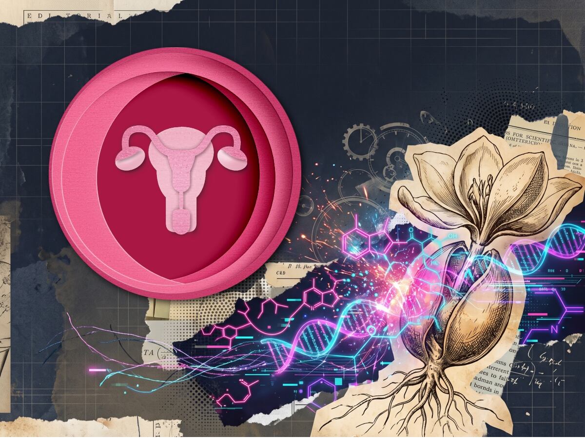 Ni inertes ni jubilados: estudio revela inesperado rol de los ovarios después de la menopausia
