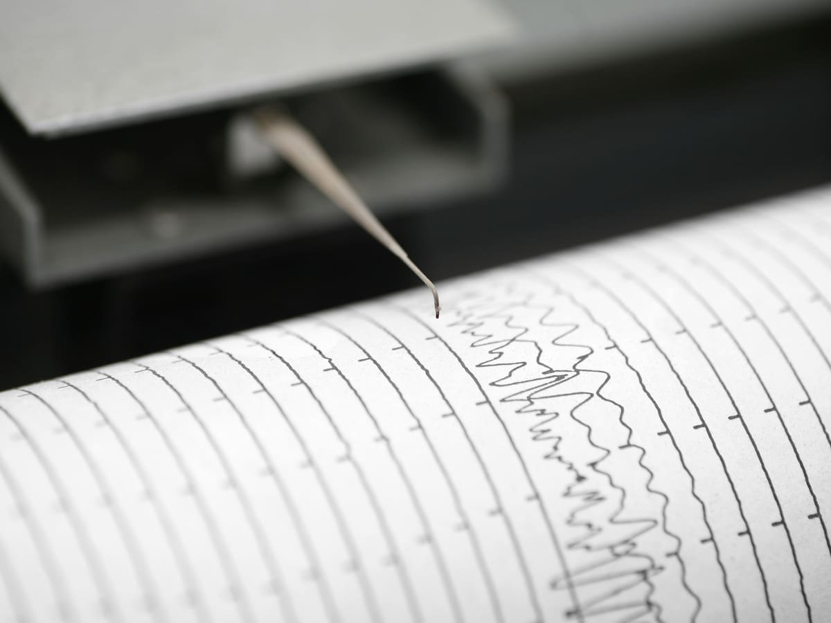 Temblor se percibe en el sur de Chile hoy martes: revisa acá la magnitud y el epicentro del sismo