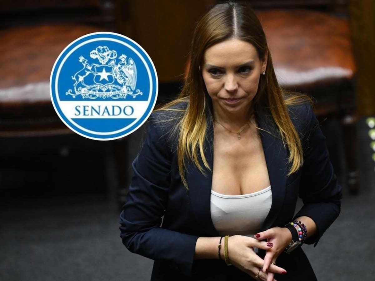 “Disposición a colaborar”: Senado se pronuncia tras ingreso de PDI y Fiscalía por caso Camila Flores