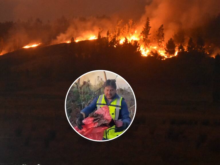 “Aquí está la prueba”: Alcalde de Galvarino denuncia presencia de líquido acelerante en zonas afectadas por incendios forestales