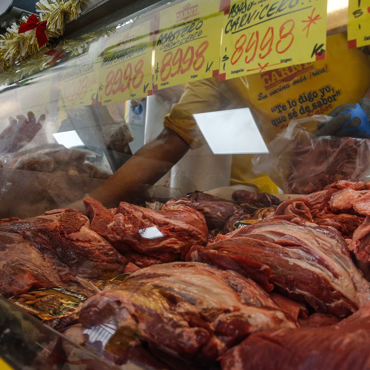 Con miras a la Fiestas Patrias: Fedecarne advierte riesgo de “desabastecimiento de carne” si continúa cerrado el Paso Los Libertadores