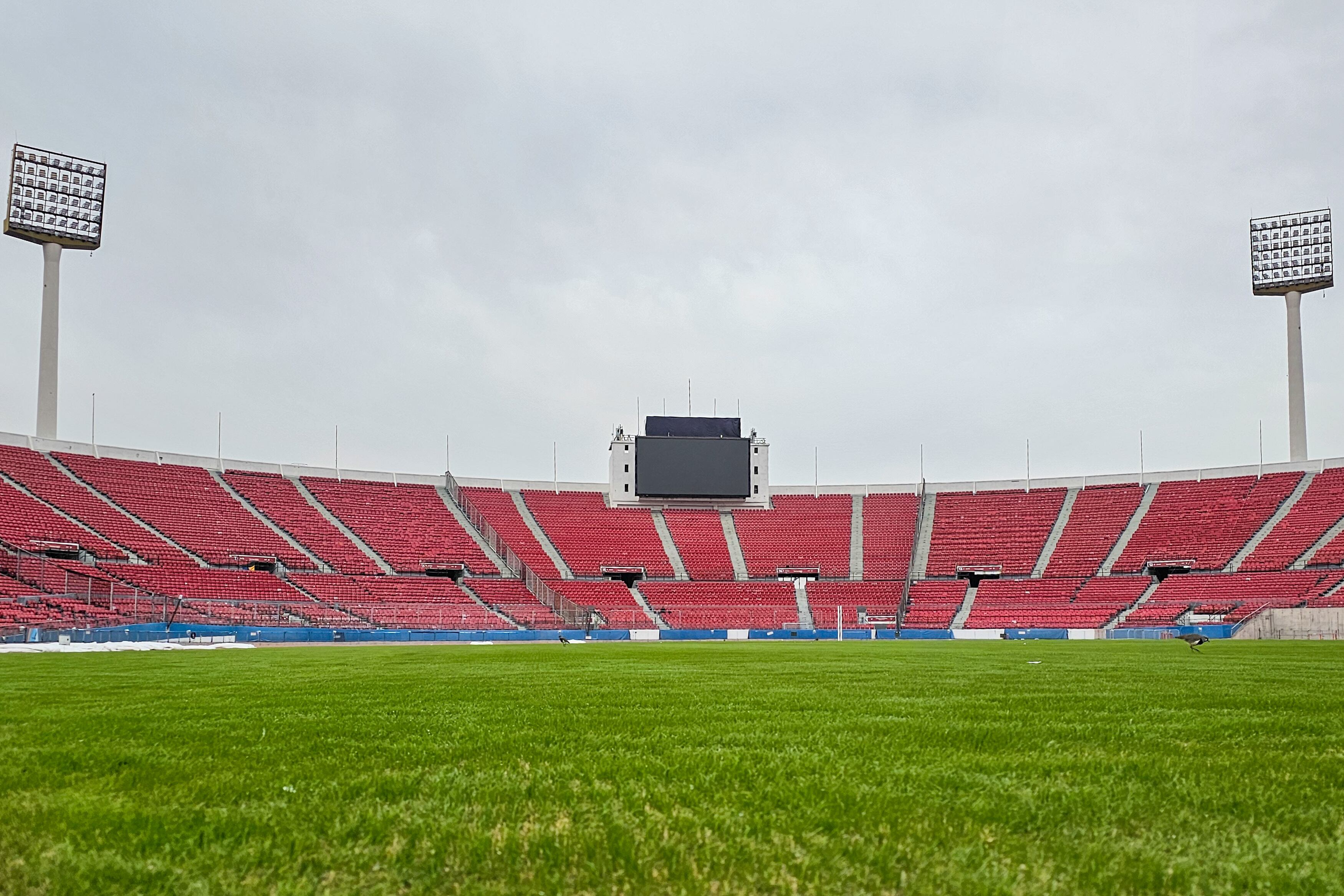 IND reveló como luce la cancha del Estadio Nacional previo al Clásico Universitario | Imágenes: IND