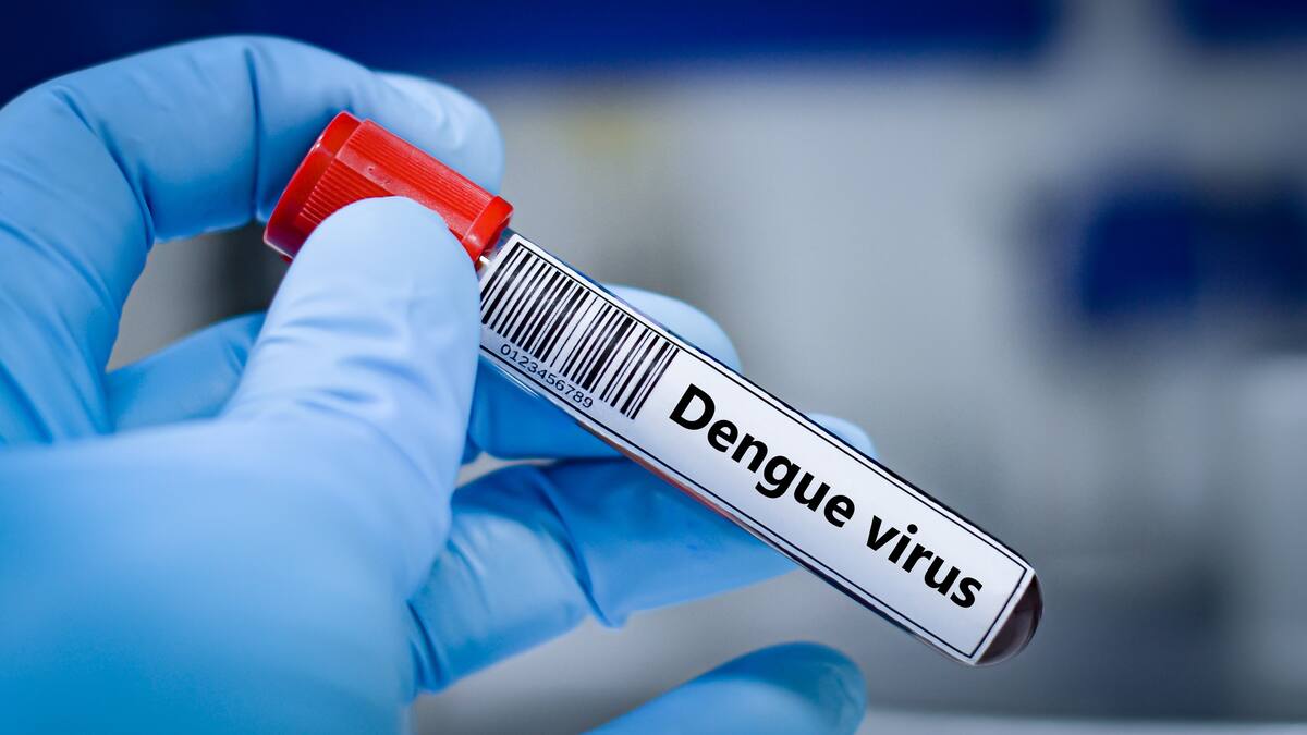 Confirman nueve casos de dengue en Rapa Nui y Minsal mantiene Alerta Amarilla