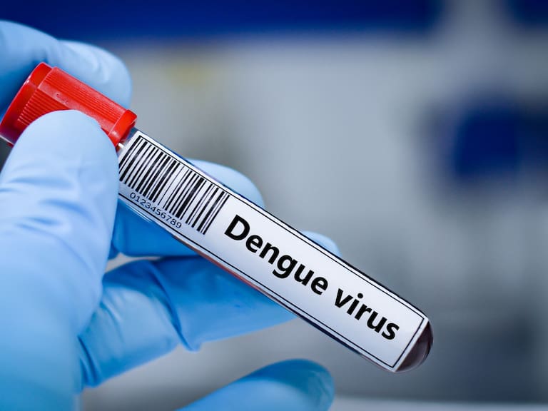 Confirman nueve casos de dengue en Rapa Nui y Minsal mantiene Alerta Amarilla