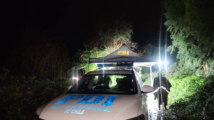 Muere una persona tras la caída de un árbol en Linares