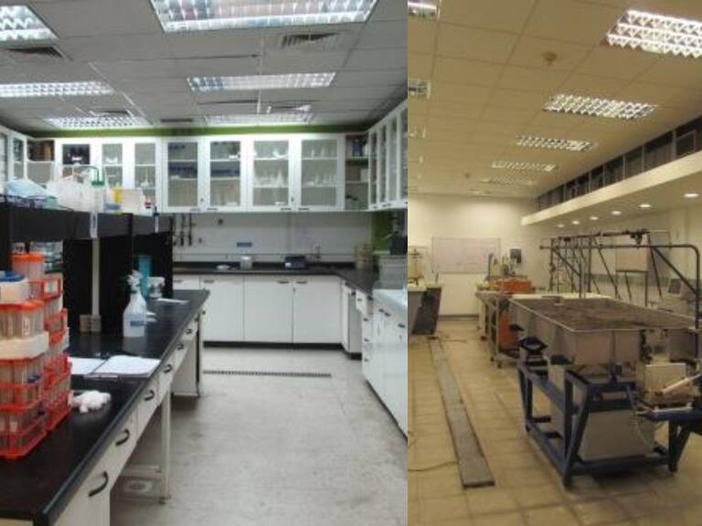 Pontificia Universidad Católica