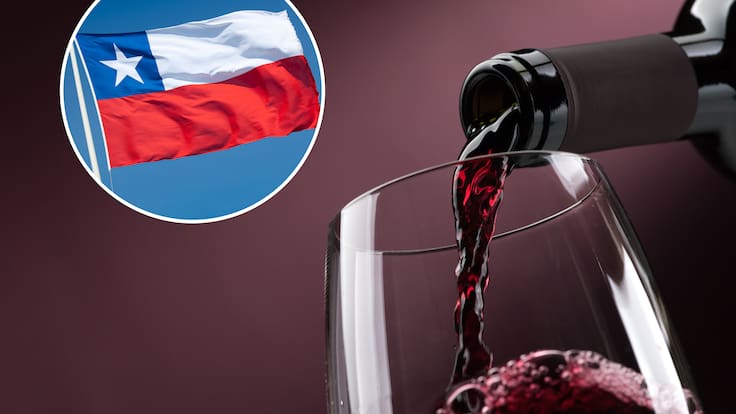 Vino chileno es escogido como el mejor del mundo por prestigioso ranking internacional: cuánto cuesta la botella