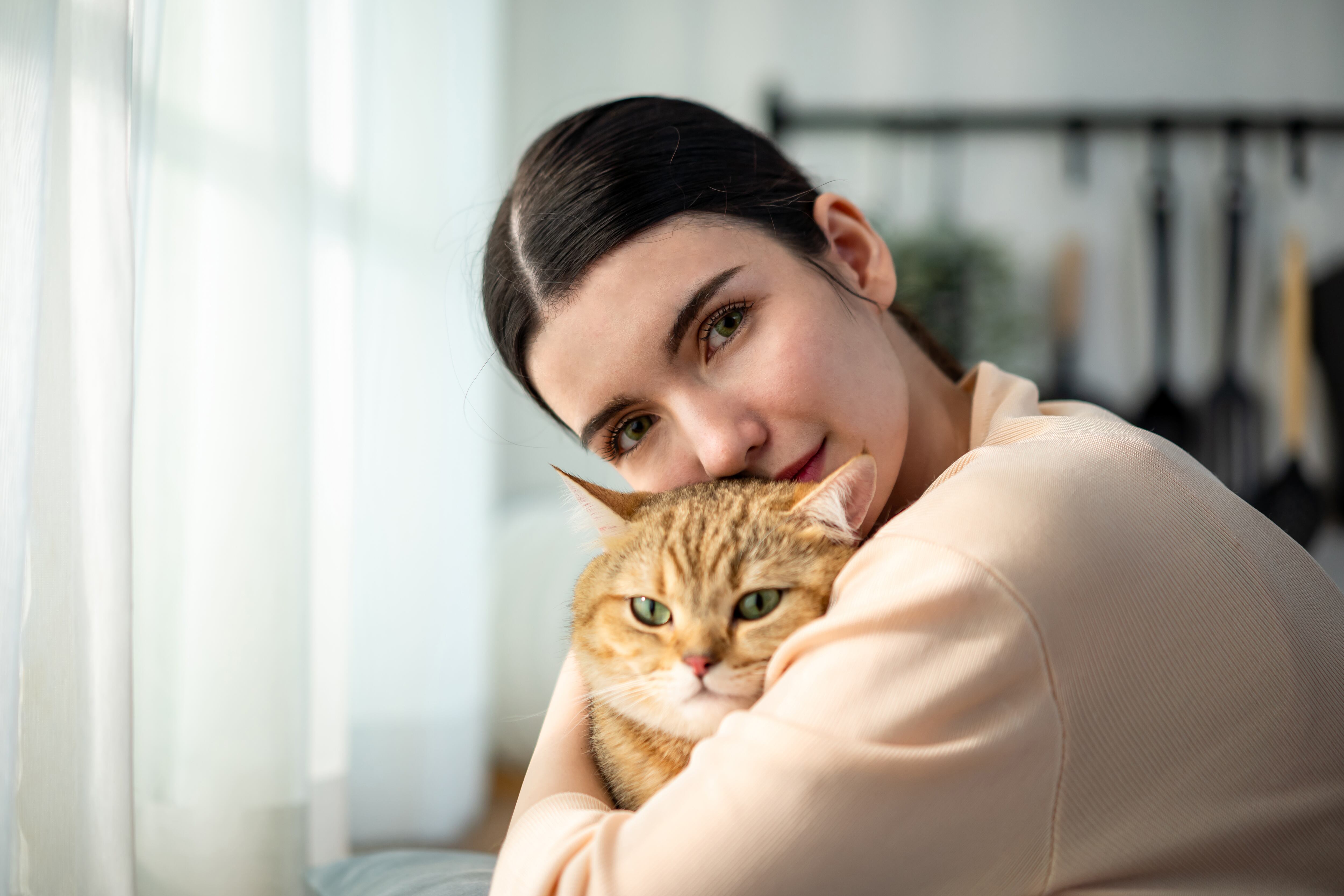 Gato terapia