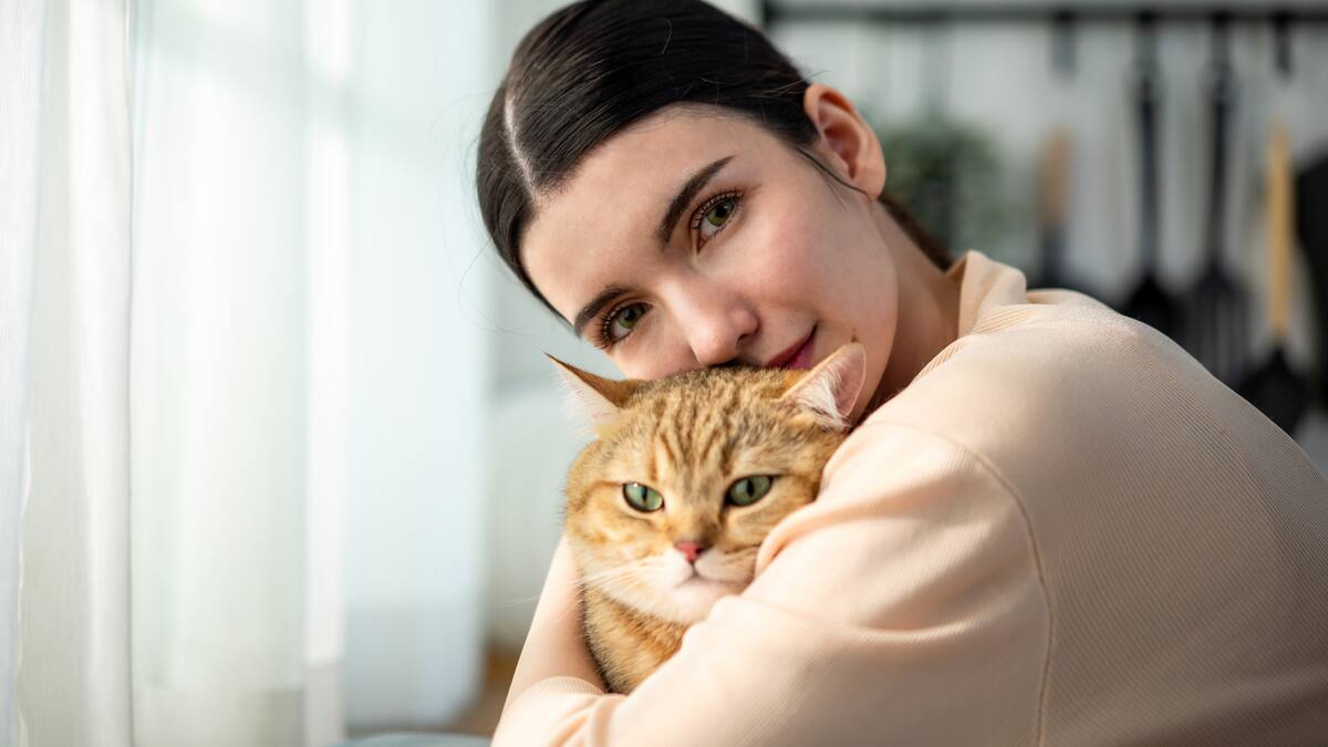 ¿Pueden los gatos ser buenos animales de terapia? Esto concluye la ciencia