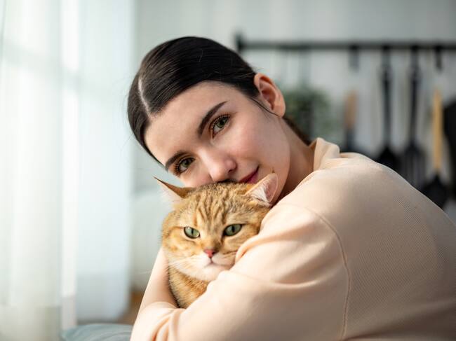 Gato terapia