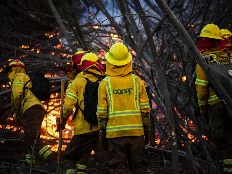 CONAF activa Botón Rojo en 51 comunas de Chile: ¿Qué significa y qué territorios comprende la alerta?