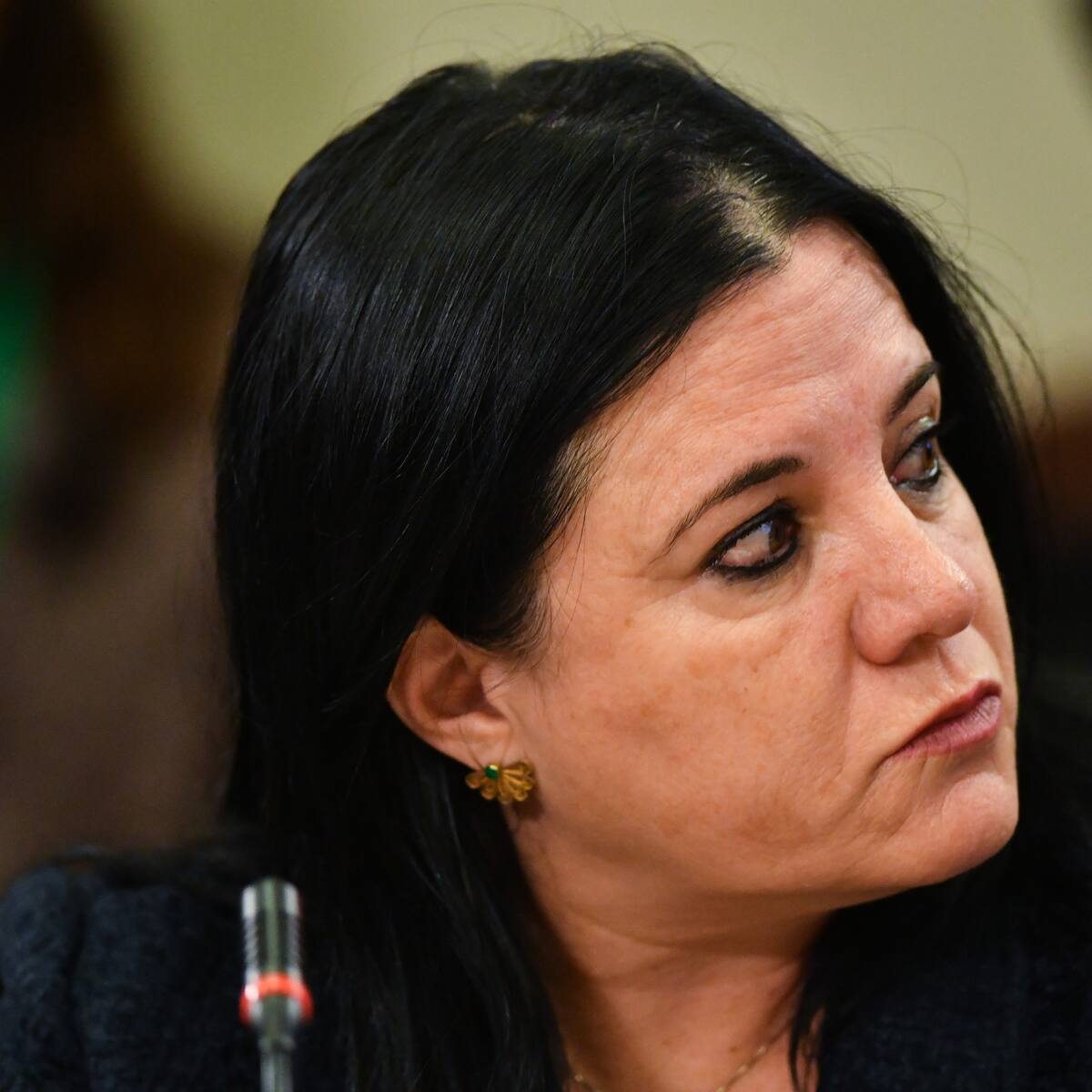 Riesgos para policías e investigaciones: los detalles del informe de Contraloría sobre actuar de la exministra Steinert