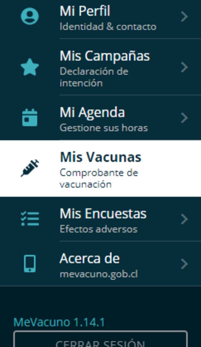 Mi perfil en Yo me vacuno / Ministerio de Salud