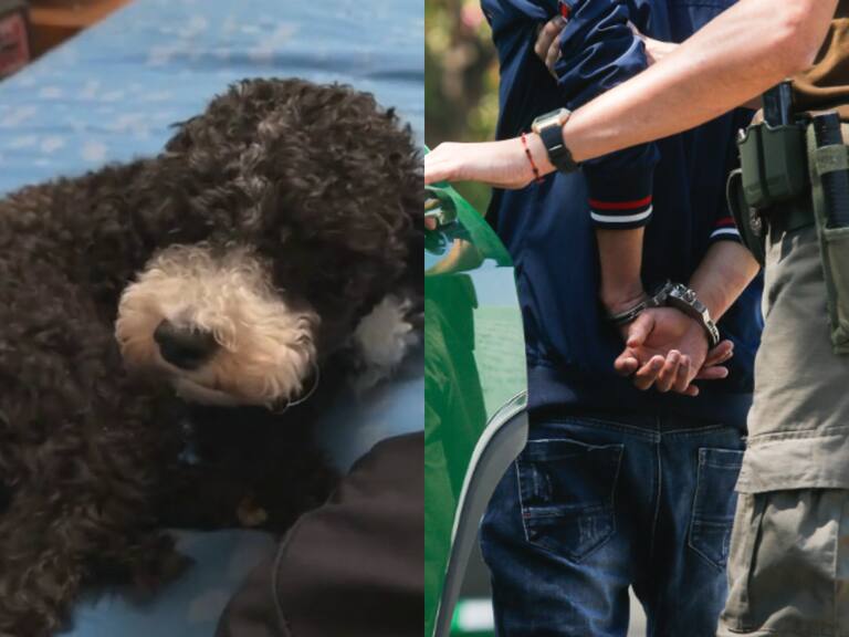 Dejan en arresto domiciliario total y arraigo nacional a hombre que lanzó a perrito desde un piso 12