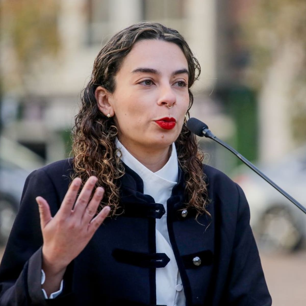 “Una estaca le atraviesa la cabeza”: diputada Rodríguez denuncia a académico UC por mensaje “alusivo a la violencia”