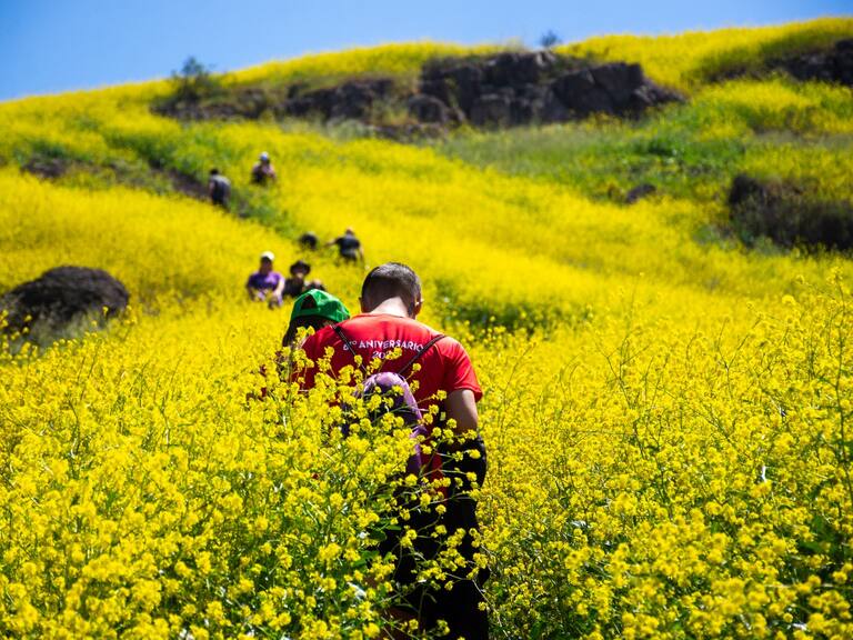 Renca celebra el Día de los Cerros 2025: 200 hectáreas para reconectar con la naturaleza