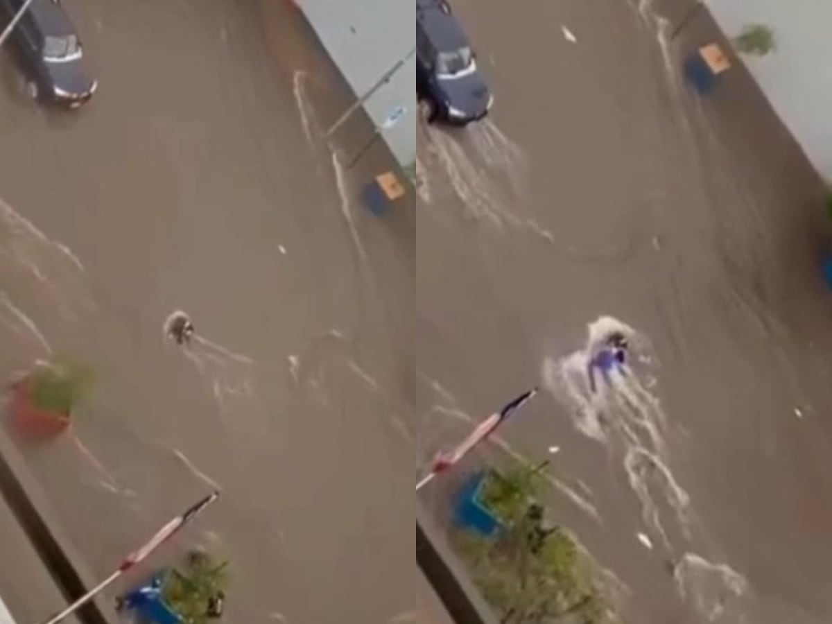 ¡Héroes! Bomberos de estación de servicio rescatan a personas que eran arrastradas en Ñuñoa