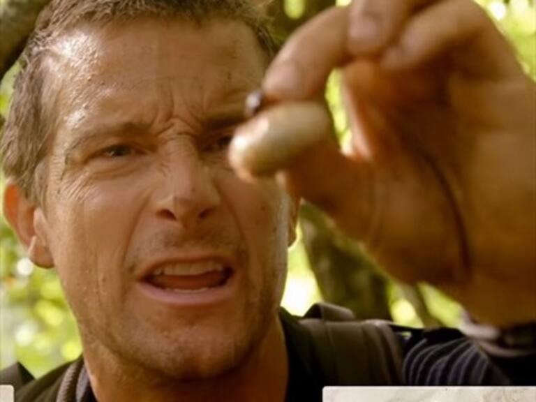 You vs Wild: revelan tráiler de la nueva serie interactiva de Netflix