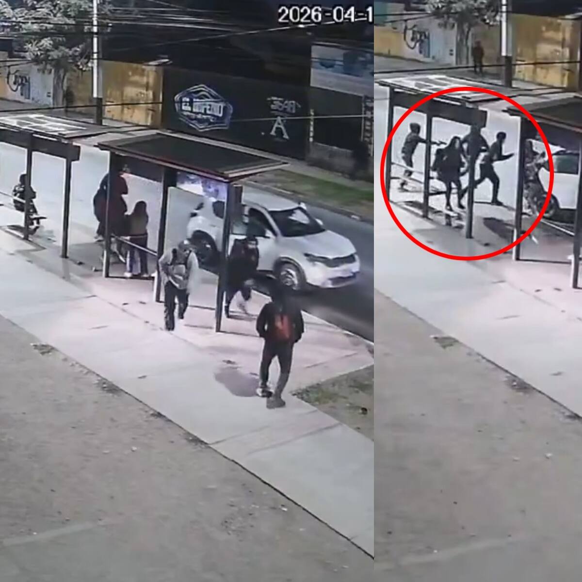 Violento asalto en paradero de Puente Alto: banda atacó en “modo jauría” a personas que esperaban locomoción