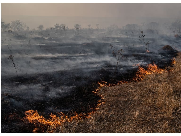 Onemi evacúa sectores de Santa Juana y Nacimiento por incendio forestal
