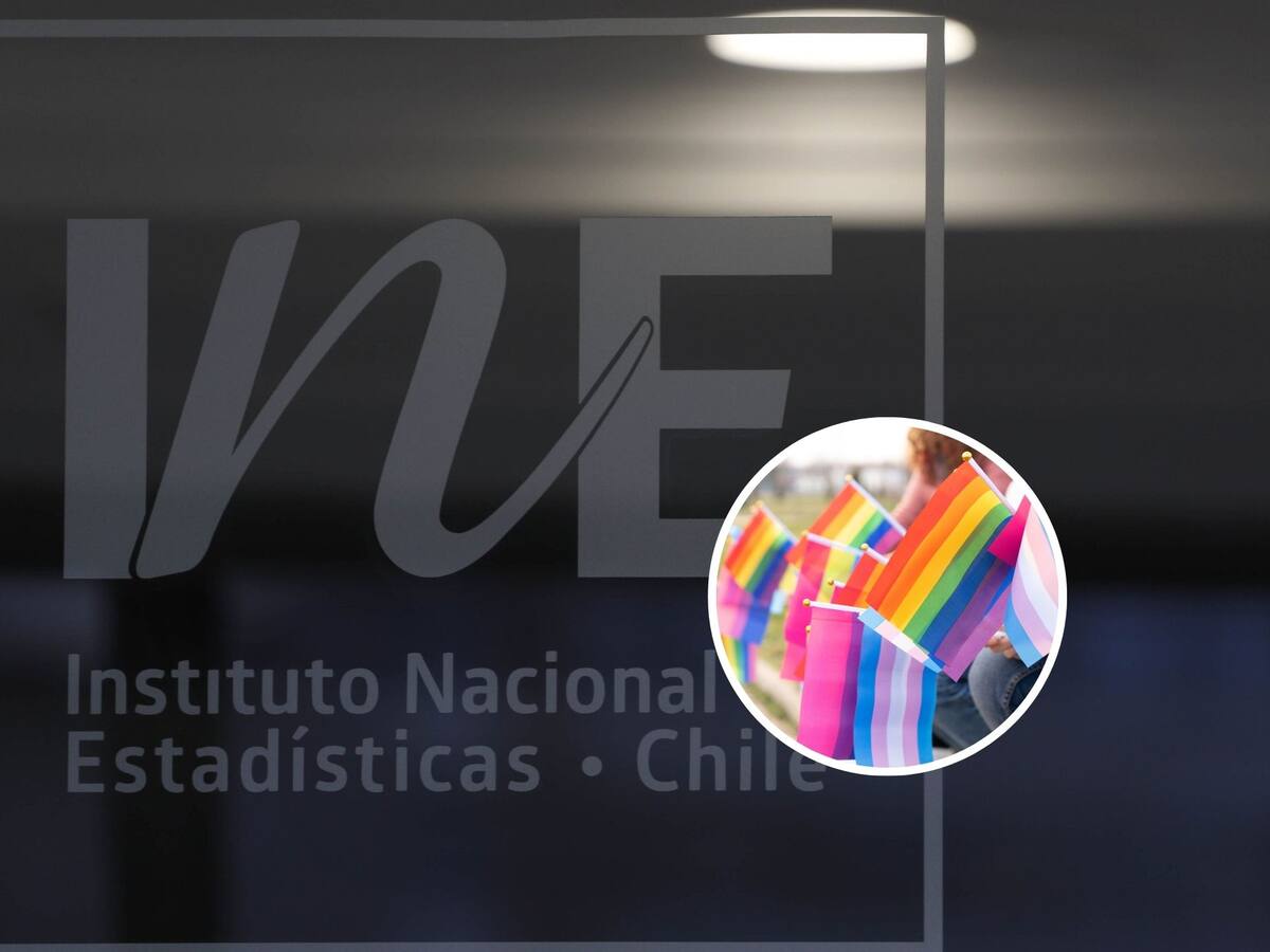 Por primera vez en su historia: INE habilita encuesta sobre diversidades sexuales y de género