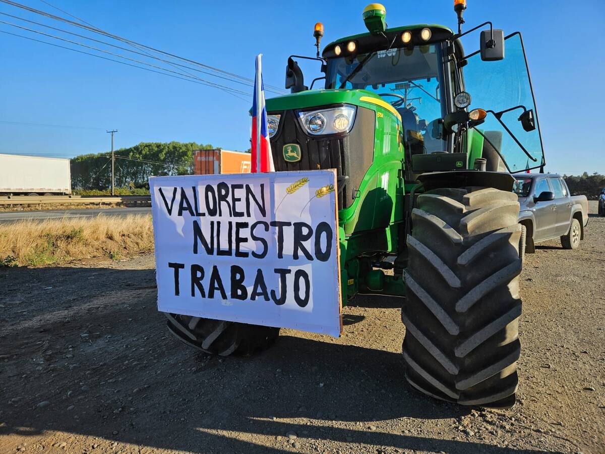 Más de 300 agricultores protestan en La Araucanía por el bajo precio del trigo: acusan que el producto internacional se paga más caro