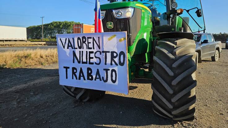 Más de 300 agricultores protestan en La Araucanía por el bajo precio del trigo: acusan que el producto internacional se paga más caro