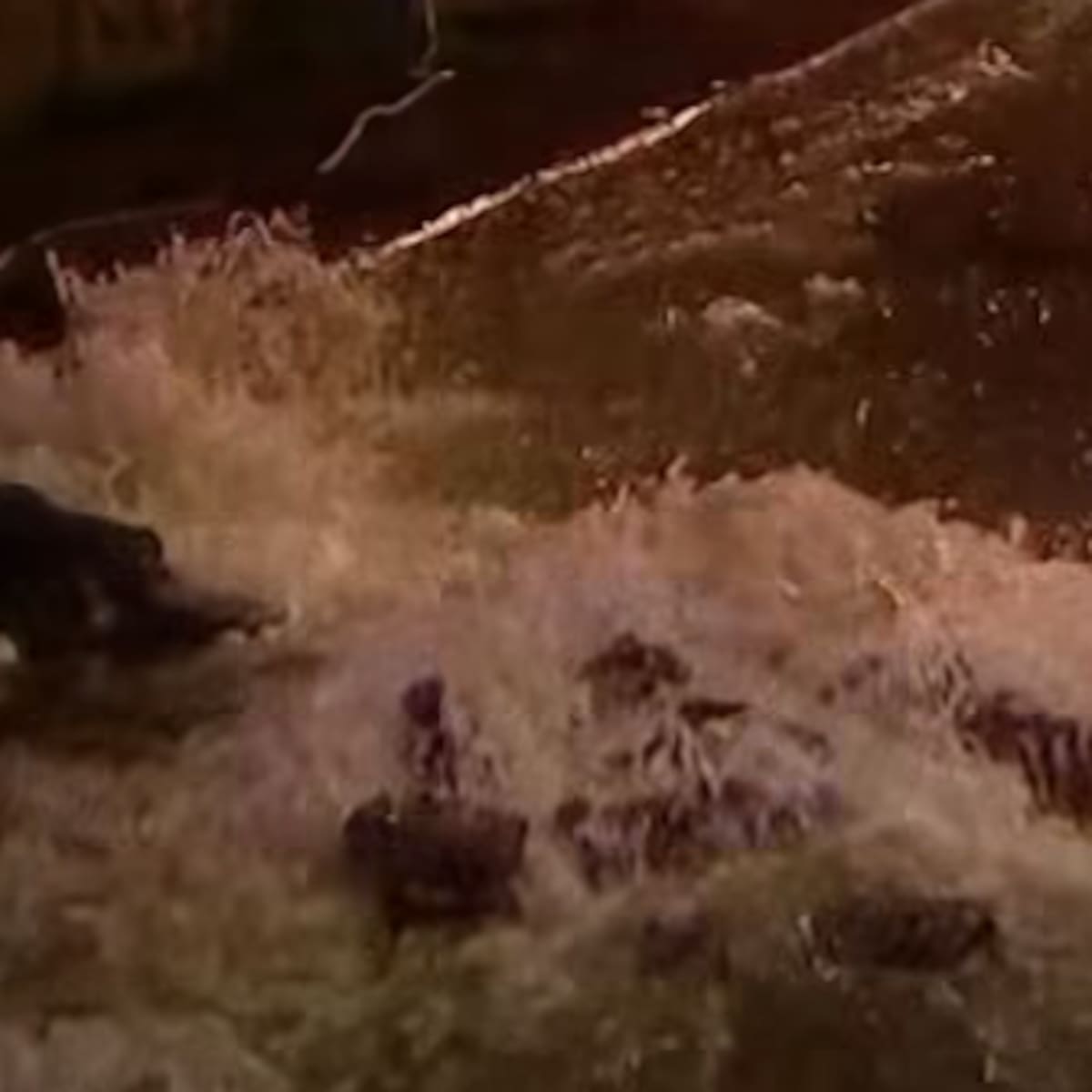 Intensas lluvias rompen losa de avenida Concha y Toro: es la única conexión entre Puente Alto y Pirque