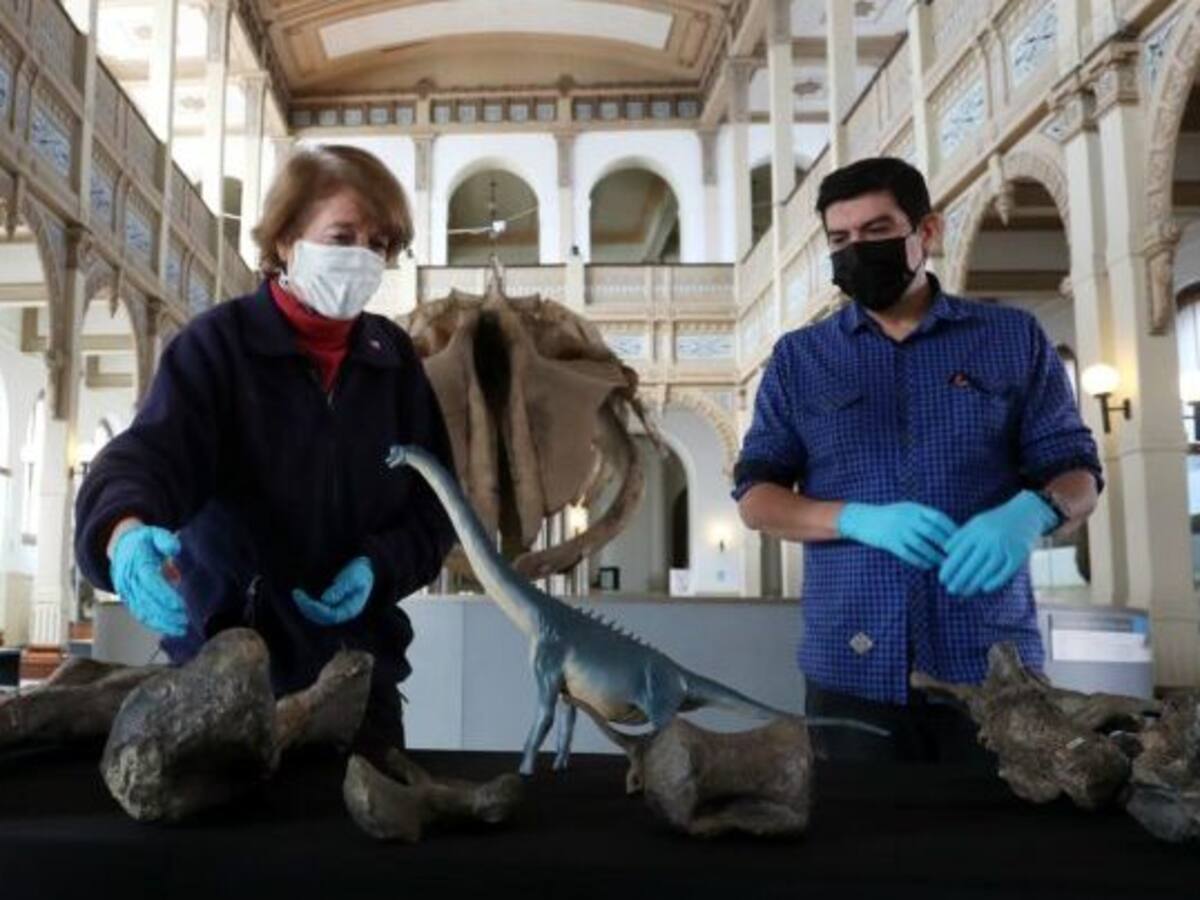 Paleontólogo chileno aseguró que recursos destinados a la ciencia «no son suficientes»: «Esperamos que eso vaya mejorando porque tenemos mucho potencial»