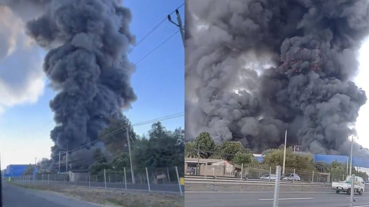 Gigantesco incendio afecta a empresa de frutas en Paine: columna de humo se puede ver desde distintos puntos de Santiago