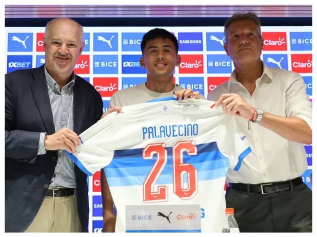 Matías Palavecino / Cruzados