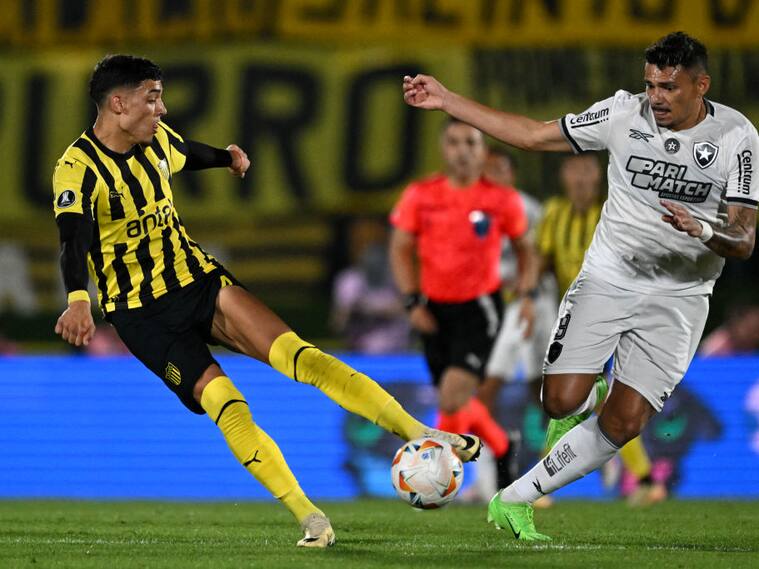 Botafogo vs Peñarol por la Copa Libertadores | Getty Images