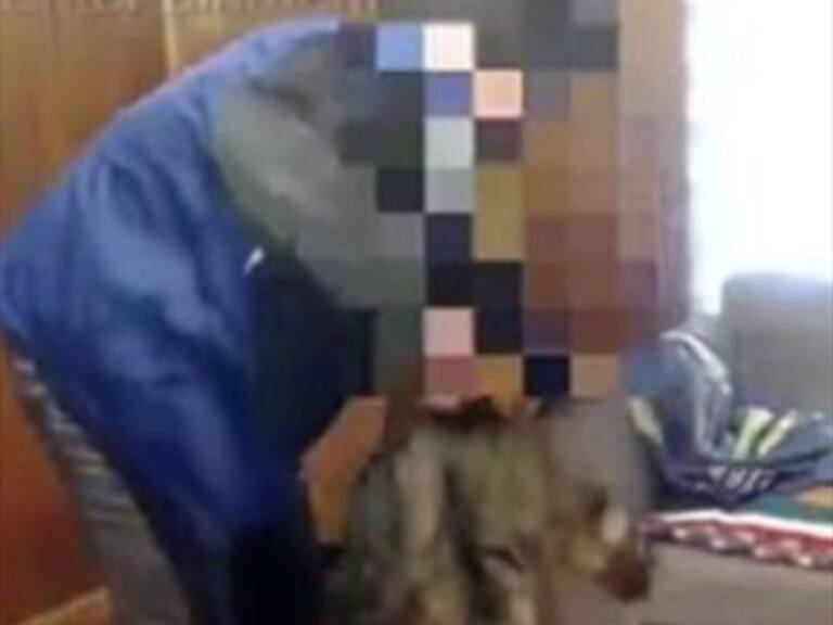 Denuncian a youtuber por maltratar a sus gatos hasta matarlos