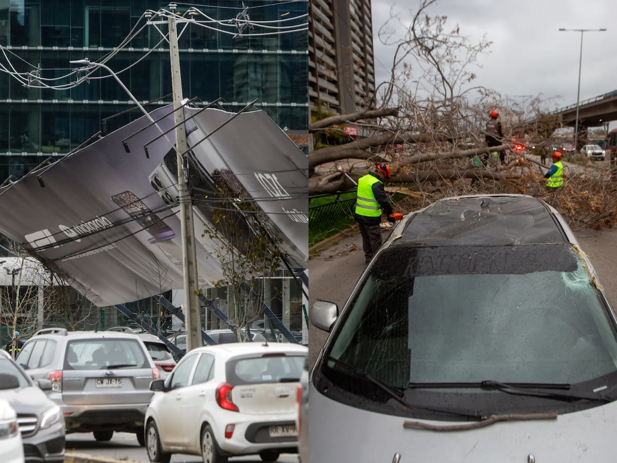 No solo lluvia en Santiago: Viento cálido provoca caídas de árboles, postes y gigantografías