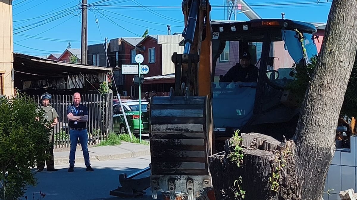 Operativo en Cabrero: derriban con una retroexcavadora mausoleo vinculado al narcotráfico