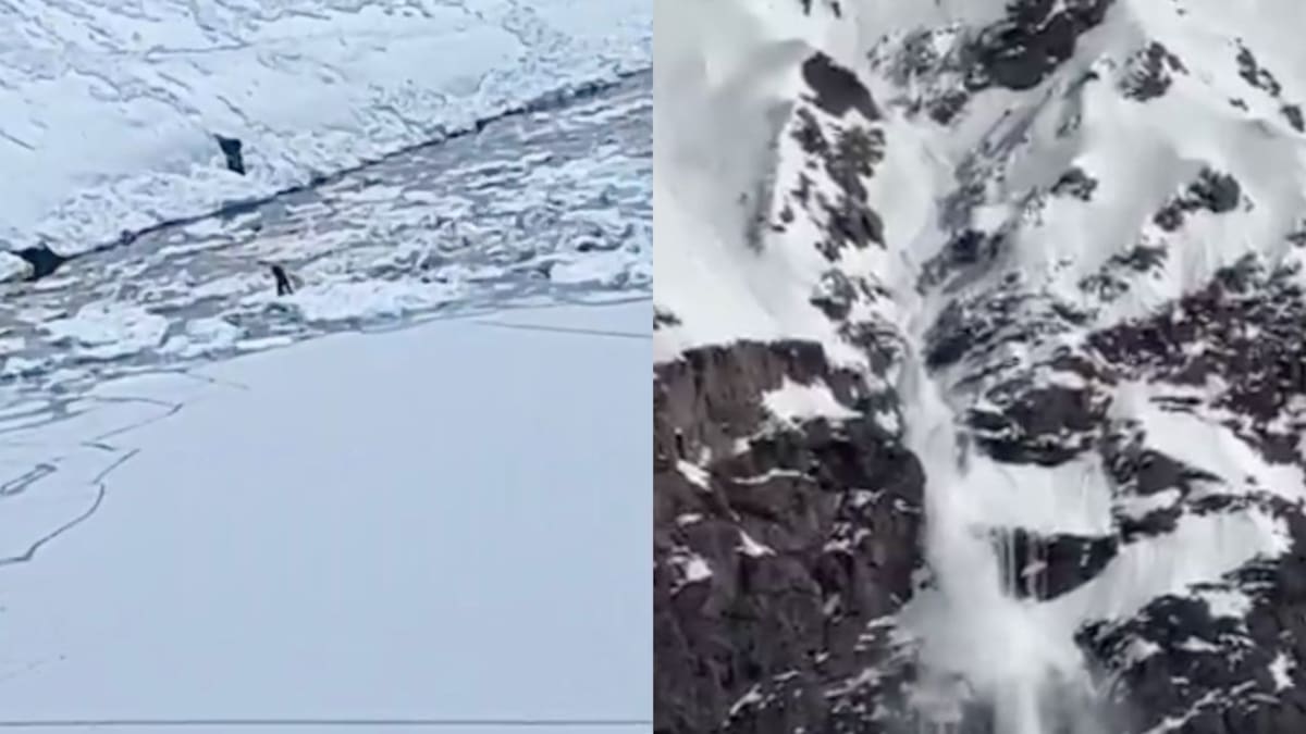 Avalancha en Portillo: condiciones climáticas impiden recuperar el cuerpo de una víctima